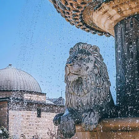 Porta Ruzveltova Skopje